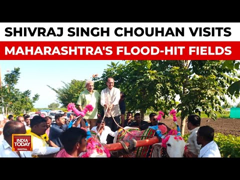 Union Agriculture Min Shivraj Singh Chouhan Visits Flood-Hit Fields In Maharashtra’s Beed District