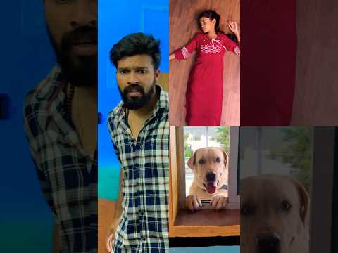 🥰A Loyal Dog’s Love-1🥰❤️watch till end❤️ #labrador #doglover #goldenretriever #doglove #puppies