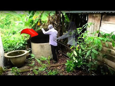 Full Video: Shocking Horror Moving Ghosts Follow Us As We Clean An Abandoned House | Clean Up