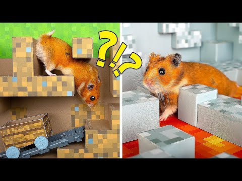 Incrível Labirinto de Mineсraft para um Hamster Ativo! 🐹❤️