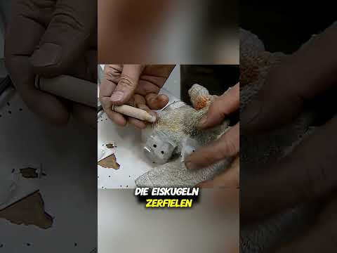 EISGESCHOSS: Fakt oder Mythos? 🔫