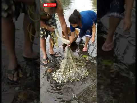 #shorts #shortvideos വീട്ടിലിരുന്ന് മീൻപിടിക്കാം🤪🤪🐟🐟 lockdown അപാരത|fishingfreaks|E bull jet|m4tech