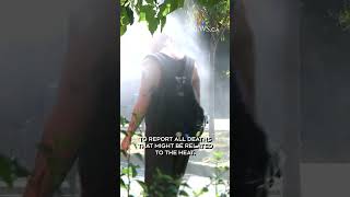 Extreme heat in Montreal