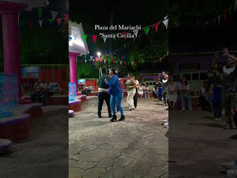 #mariachi #mexico #music #shortsmusic #musicaregional #mariachis #mariachienvivo #tradiciones