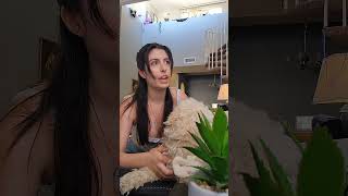 POV ur an actor auditioning in LA #actor #sketch #comedy