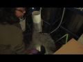 Microscopic Organisms in Ocean Ecosystems