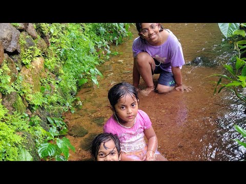 കുട്ടി പട്ടാളങ്ങൾ #viralvideo #viral #video #trending #facts #funny #love #vacation #kerala
