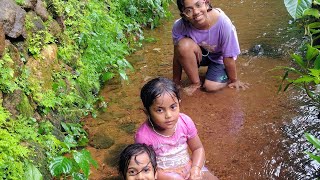 കുട്ടി പട്ടാളങ്ങൾ #viralvideo #viral #video #trending #facts #funny #love #vacation #kerala