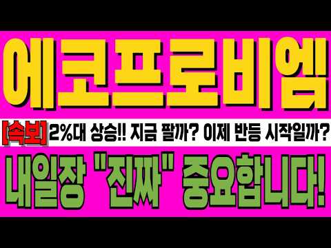 [에코프로(에코프로비엠) 주가전망] 2%대 상승!! 지금 팔까? 이제 반등 시작일까? 주주분 이라면 필수시청!! 내일장 "진짜" 중요합니다!!