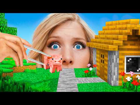 I Built Minecraft In Real Life!