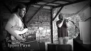 Ippio Payo - Talking Birds (live 2022)