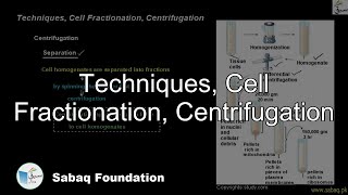 Techniques, Cell Fractionation, Centrifugation