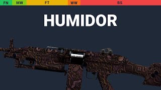 M249 Humidor Wear Preview