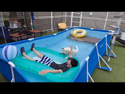 自宅で犬用大型プール開きライブ