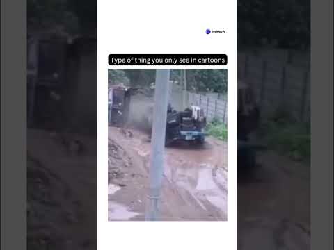 #car