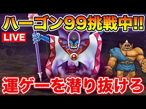 【ドラクエウォーク】数多の運要素を突破せよ!! ハーゴン99地図に挑戦し続けるぞ!!【DQW】のサムネイル