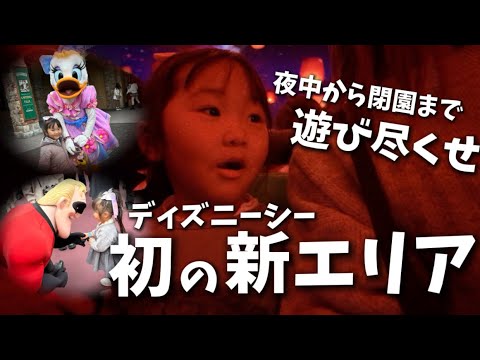 【4歳誕生日】夜中から並んだディズニーシー！念願のFantasy Springsへ！！