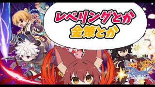 【RO】2025/08/28　レベリングとか金策とか。サクライソロに挑む　エレマス狩り雑談#383  【ラグナロクオンライン/Vtuber/