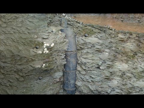 Most Mysterious Scientific Discoveries of All Time