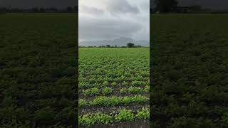 agriculture  spray machine jugad ..