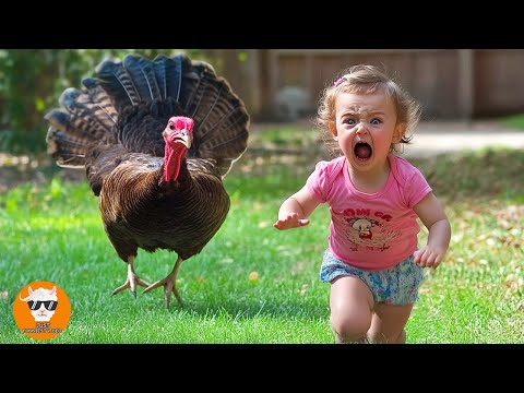 Oh My God!!! BABY Crying Shock with Animals At The Farm - Funny Baby Videos | Just Funniest