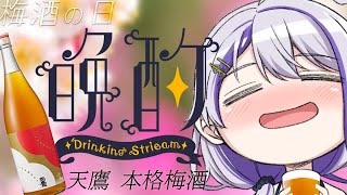 【晩酌雑談】今日は梅酒の日🌸バーテンダーイチオシの飲み方で天鷹 本格梅酒をいただきます！ 縦型配信【#朔夜トバリ/#vtuber　#shor