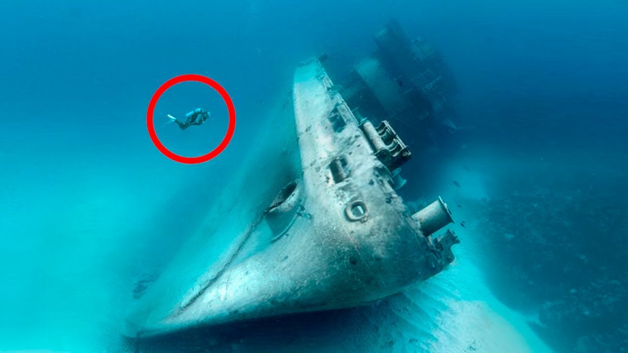 The Most Incredible Discoveries Made By Divers & More