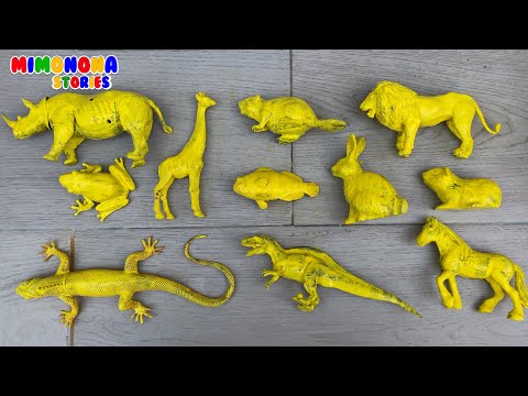 Nombres de animales para niños 🦁🦋 Dinosaurio Leon Rana Pez Jirafa y mas ✨ Mimonona Stories