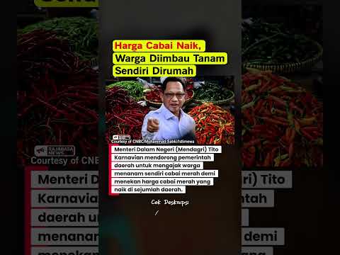 #hargacabai #hargacabaimerah #mendagri