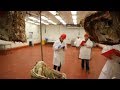 Meat Judging Concepts and Skills