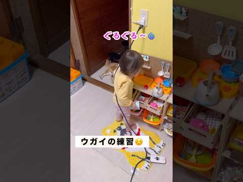 ちょっと間違えてるのが可愛い笑🌀 #2歳#baby#柴犬#shibainu