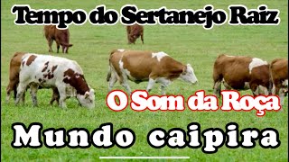 🎶TEMPO DO SERTANEJO RAIZ - Pagodão Caipira e Modão de Viola