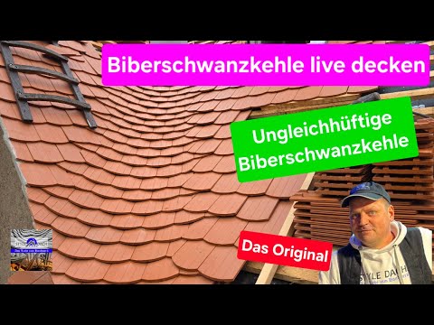 Biberschwanzkehle ansetzen - Teil 50 - 12.05.26 - Biberdach Leipzig