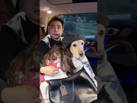 【旺仔很忙🐶wangzai is busy】 拼车拼到一对假情侣，有些辣眼睛Carpooling with a fake couple—it's a bit cringe