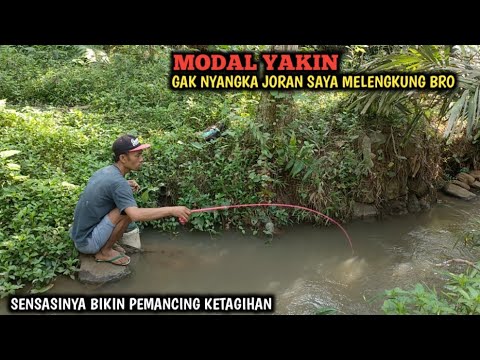 GAK NYANGKA.!! NIAT MANCING UCENG DAN WADER MALAH IKAN NILEM DAN LELENYA MBERONTAK BRO