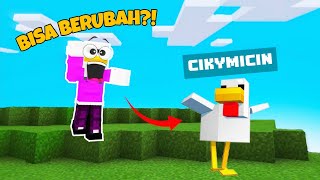Mod ini Bisa MERUBAH KALIAN Menjadi MOB!!!