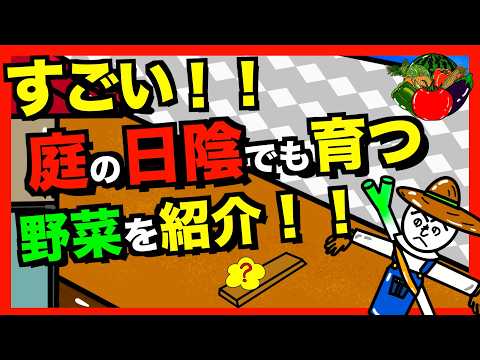 【日陰で育つ野菜】日当たりの悪い庭や畑でも育つ野菜を紹介！日陰で育てるコツさえ知れば野菜が作れる！【アニメでわかる家庭菜園解説】