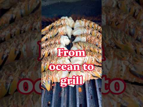 Cannot believe how good these tasted! シ video thumbnail