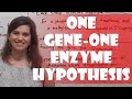 Molecular Genetics and Protein Functions