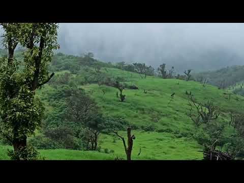 Free Copyright Free Video Use In Your Content |