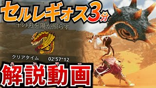 【装備解説】セルレギオスを３分でとっ捕まえる相殺しまくりハンマーおもろいぞ解説動画【MHWilds】【モンハンワイルズ】