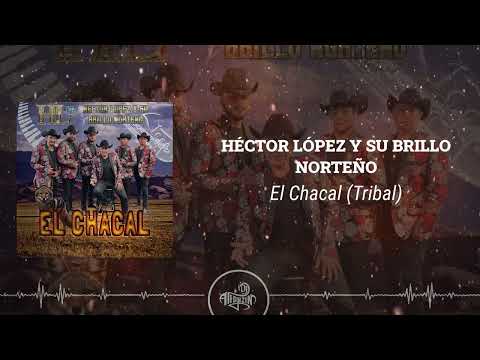 Héctor López y Su Brillo Norteño - Tribal El Chacal (2024)