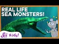 Sea Monster Design Inspired by Ancient Creatures