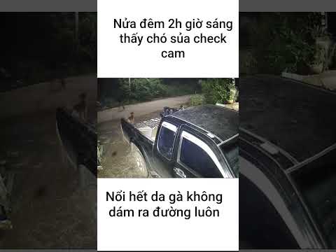 chuyện tâm linh không đùa được đâu