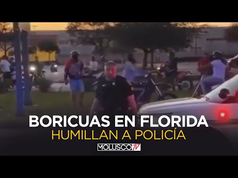 BORICUAS EN CORRIDA DE MOTORAS EN FLORIDA HUMILLAN A POLICIA ??‍♂️