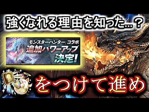 【まさかの枠解放】モンハン★7キャラの能力が再調整!!あれ、我々が修正してほしかったのってリーダースキルとスキルじゃなかったっけ...??【パズドラ】