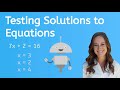 Testing Solutions to Equations