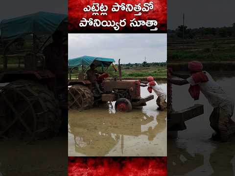 కొట్టరా కొడ్కా కొట్టు #comedy #trending #telugu #comedyshorts #funny #trolling #viral #palleramulu