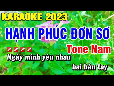 Karaoke Hạnh Phúc Đơn Sơ Nhạc Sống Tone Nam | Hoài Phong Organ