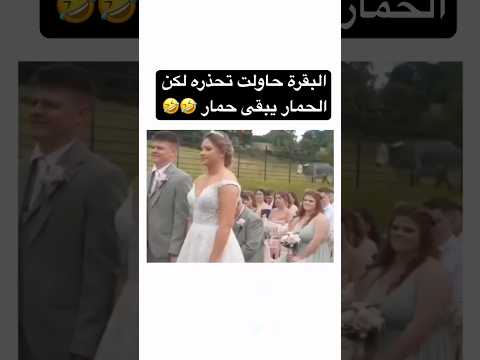 اهرب اهرب 🤣 #funny #اكسبلور #العراق #السعودية #تيك_توك ٪#المغرب #الجزائر #لايك #متابعه #funny